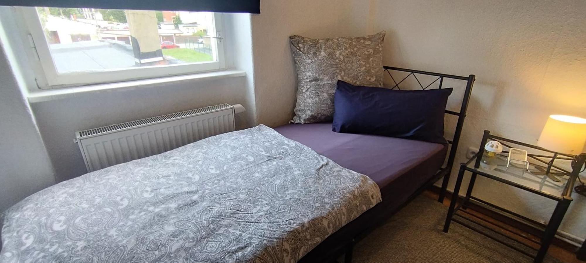Daily Weekly Monthly Apartment Glauchau Εξωτερικό φωτογραφία